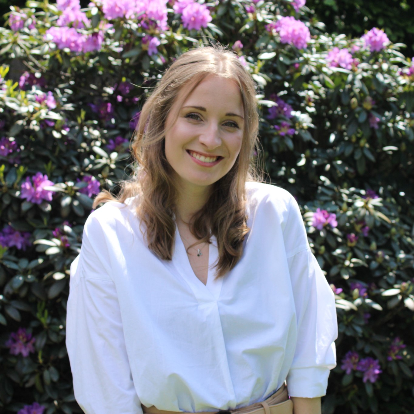 Hero afbeelding